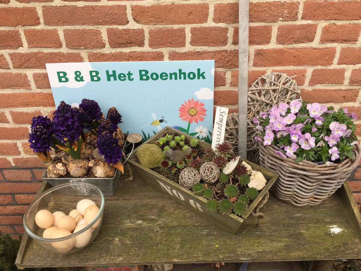 レッケルケルク Het Boenhok Logies Bed & Breakfast エクステリア 写真
